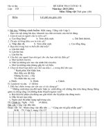 De kiem tra Tieng viet cuoi nam lop 5 1314