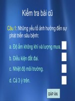 công nghệ 10  công nghệ 10  bien minh tan  thư viện tài nguyên giáo dục long an