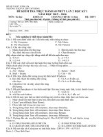 Đề Kiểm tra 45 phút thực hành môn Tin học lớp 10 lần 2 Năm học 2015-2016