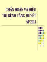 CHẨN đoán và điều TRỊ BỆNH TĂNG HUYẾT áp 2015 (điều TRỊ nội) 