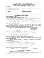 De kiem tra cuoi ki 2  Tieng Viet lop 3