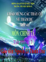 bai chinh ta ga trong va cao