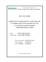 Nghiên cứu sự ảnh hưởng của axid salicylic và aspirin lên sự tăng tăng trưởng của cây lan gấm anoectochilus roxburghii trong điều kiện in vitro 