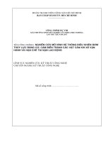 Nghiên cứu mô hình hệ thống điều khiển bơm thủy lực bằng cơ cảm biến tránh các vật cản khi xe vận hành và hạn chế tai nạn lao động 