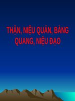 THẬN, NIỆU QUẢN, BÀNG QUANG, NIỆU đạo (GIẢI PHẪU) (chữ biến dạng do slide dùng font VNI times, tải về xem bình thường) 