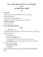 Giáo án môn Tiếng Việt lớp 1 sách Cánh Diều - Bài tập đọc Chuyện trong vườn