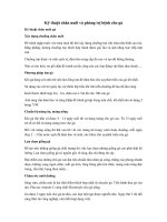 Tải Cách chăn nuôi và phòng trị bệnh cho gà - Quy trình chăn nuôi và phòng trị bệnh cho gà