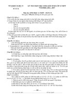 DE THI HSG SINHDU BI TINH NGHE AN BANG B 20122013doc