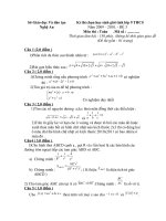 De va Dap an thi HSG tinh Nghe An nam 20092010