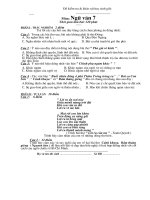 De thi HSG mon Ngu van 7