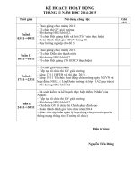 KẾ HOẠCH THÁNG 11 NĂM 2014