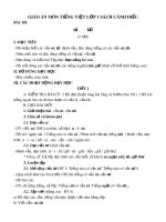 Giáo án môn Tiếng Việt lớp 1 sách Cánh Diều - Bài 102: ui, ưi