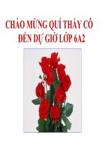 BAI 8 SONG CHAN HOA VOI MOI NGUOI
