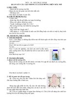 T38TH QS cau tao trong cua ech dong