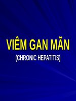VIÊM GAN mãn (điều TRỊ nội) (chữ biến dạng do slide dùng font VNI times, tải về xem bình thường) 
