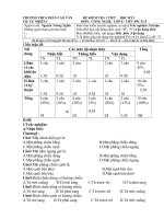 Ngan hang cau hoi 1 tiet Cong nghe 8 ki 1NH 0809