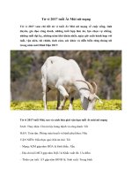 Tải Tử vi 2017 tuổi Ất Mùi nữ mạng - Xem tủ vi tuổi Ất Mùi nữ mạng năm Đinh Dậu