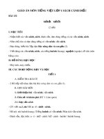 Giáo án môn Tiếng Việt lớp 1 sách Cánh Diều - Bài 132: uênh, uêch