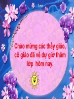 Tiet 39 ON CHUONG I  ON TAP VA BO TUC VE SO TUNHIEN