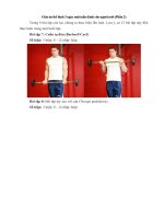 Tải Giáo án thể hình 3 ngày một tuần dành cho người mới (Phần 2) - Giáo án tập gym cho người mới bắt đầu