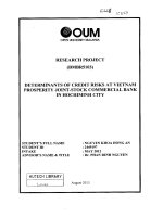 Determinants of credit risk at vietnam prosperity joint stock commercial bank in ho chi minh city 