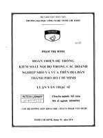 Hoàn thiện hệ thống kiểm soát nội bộ trong các doanh nghiệp nhỏ và vừa trên địa bàn thành phố hồ chí minh 