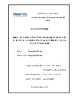 Khảo sát khả năng ứng dụng dịch nuôi cấy vi khuẩn lactobacillus sp l5 vào bảo quản và xử lí hạt bắp 