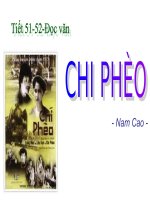 chí phèo  bài giảng  võ thị bê  thư viện giáo dục tỉnh quảng trị