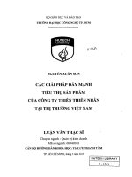 Các giải pháp đẩy mạnh tiêu thụ sản phẩm của công ty thiên thiên nhân tại thị trường việt nam 