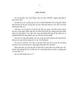 Bảo hộ quyền sở hữu công nghiệp theo pháp luật việt nam 