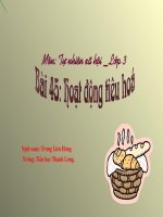 bai giang  tự nhiên và xã hội  nguyễn văn ninh  thư viện tài nguyên dạy học tỉnh thanh hóa