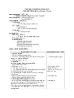 Chủ đề TRƯỜNG MẦM NON. CĐN 2 LỚP HỌC CỦA BÉ. Bài dạy TÔ THEO ĐƯỜNG TẬP CỦA GẤU VÀ LỢN