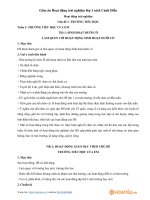 giao-an-hoat-dong-trai-nghiem-lop-1-sach-canh-dieu