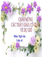 bài 25 cô tô  ngữ văn 6  trần thị hoài  website của trường thcs tam hưng  thanh oai
