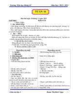 giáo án tuần 16- 2012