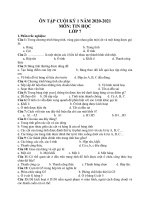 ĐỀ CƯƠNG TIN 7-KI 1