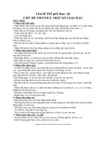 Chủ đề Thực vật.  CĐN 5 Một số loại rau. Đề tài BÉ VỚI CÁC LOẠI RAU