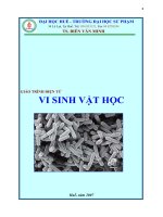 giáo trình vsv  sinh học 10  nguyễn thị minh ngọc  thư viện giáo dục tỉnh quảng trị