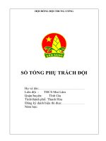 SO TONG PHU TRACH DOI