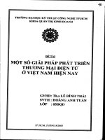 Một số giải pháp phát triển thương mại điện tử ở việt nam hiện nay 
