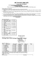 de thi hsg ky thuat  tin học 9  trần văn bích  thư viện giáo dục tỉnh quảng trị