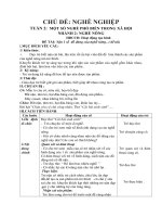 Chủ đề Nghề nghiệp. HĐTH. Bài dạy Nặn 1 số  đồ dùng của nghề nông