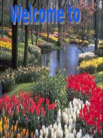 bài giảng 1  ngoại ngữ 7  phan thị anh đào  thư viện giáo dục tỉnh quảng trị