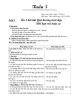 Giáo an Âm nhạc CKTKN Tuan 5,6 Lớp 1,2,3,4,5