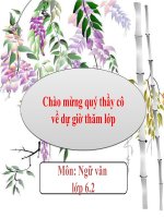 bài 25 cô tô  ngữ văn 6  nguyễn thị nga  website của trường thcs quảng hoà