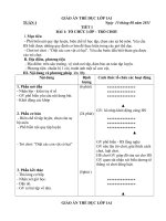 giao an TD 1 2012  2013