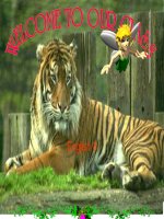 unit 4 our past  tiếng anh 8  lý thị thoa  website của trường thcs tam hưng  thanh oai