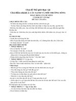 Chủ đề Thực vật.  CĐN 2 Cây xanh và môi trường sống. Làm quen VH. Đề tài CÂY DỪA