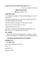 CĐ nghề nghiệp.Phát triển vận động. Chủ đề nhánh - Nghề xây dựng. Đề tài Thể dục bước lên xuống bậc cao (30cm)