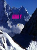 - Toán học 8 - Lê Thị Thành - Website của Trường THCS Tam Hưng - Thanh Oai